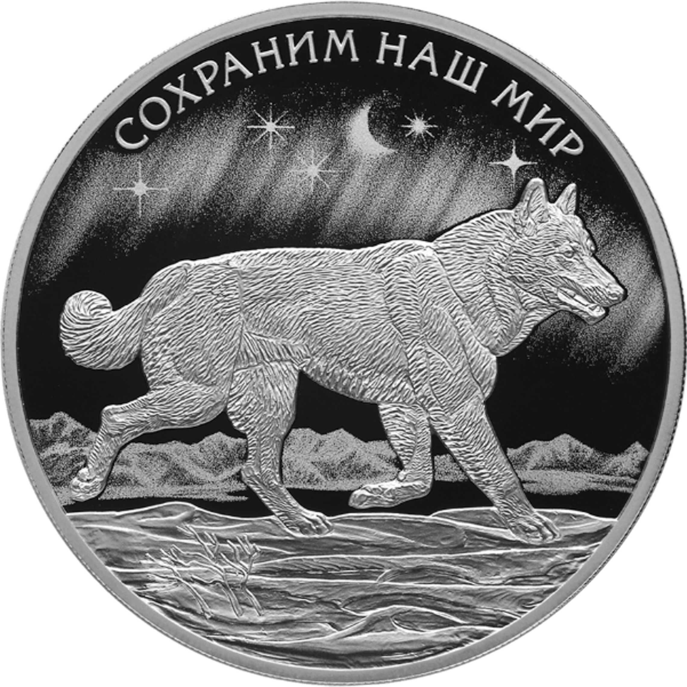 3 полярный мир. Серебряная монета Полярный волк. Монета Полярный волк 2020 серебро. 50 Рублей 2020 «Полярный волк». Монета Полярный волк 2020 золото.