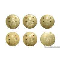  Набор золотых монет Беларуси – “Православные святые” 5 шт., 2008 г.в., фото 1 